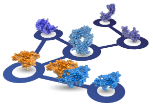 Interactome3D provides structural annotation of interactomes