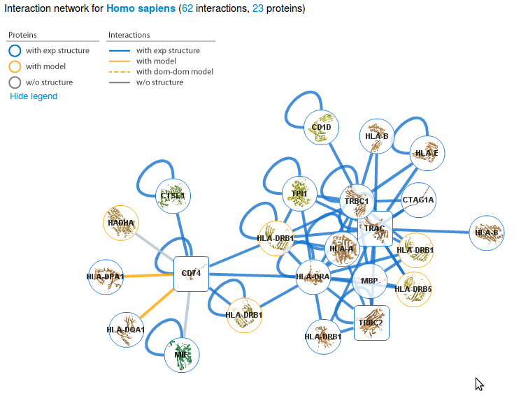 Network view